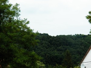 Kovácsszénája - 2013.08.10.