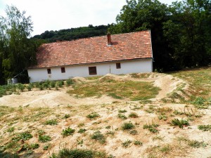Kovácsszénája - 2013.08.10.