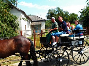 Kovácsszénája - 2013.08.10.