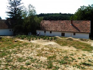Kovácsszénája - 2013.08.10.